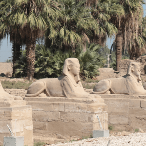 Photo de Luxor day tour with Nile cruise and lunch from Hurghada dans Hurghada : Galerie Photo z7ymg8