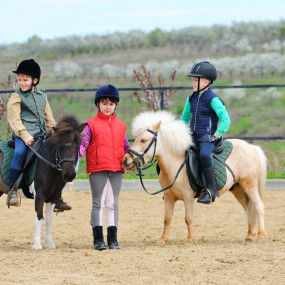 Photo from صحارى سيتي in الرياض: Gallery Photo z7q5gn