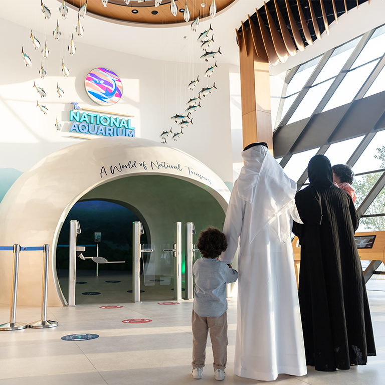 Photo from The National Aquarium Abu Dhabi in Abu Dhabi: Gallery Photo n14m7x