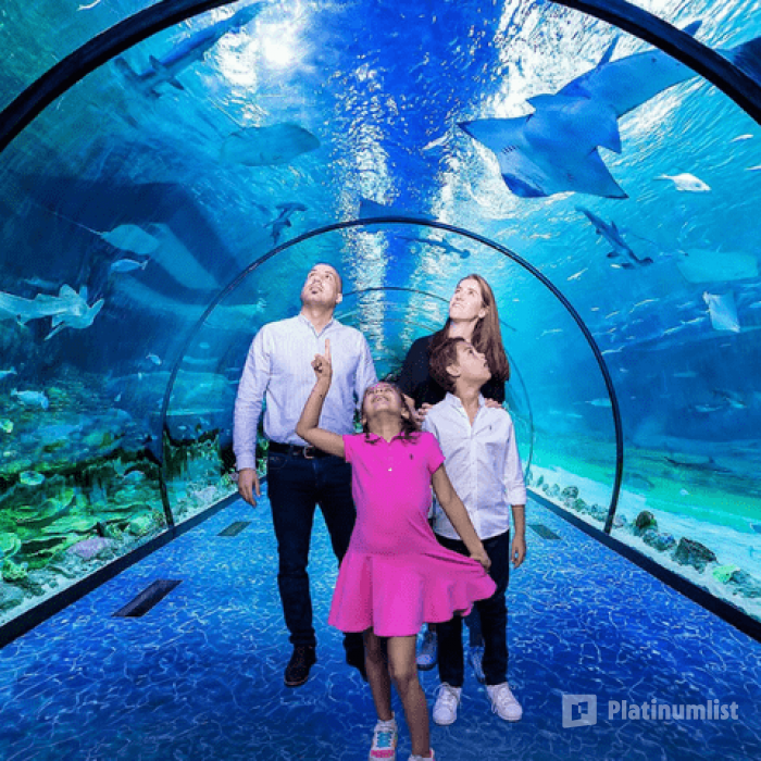 The National Aquarium Abu Dhabi in Abu Dhabi: Gallery Photo 34km7y The National Aquarium Abu Dhabi in Abu Dhabi: Gallery Photo 34km7y