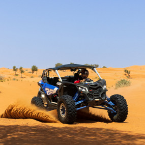 Big Red Adventure Tours: Dune Buggy in Dubai в Дубай: Галерея фото 38v89r
