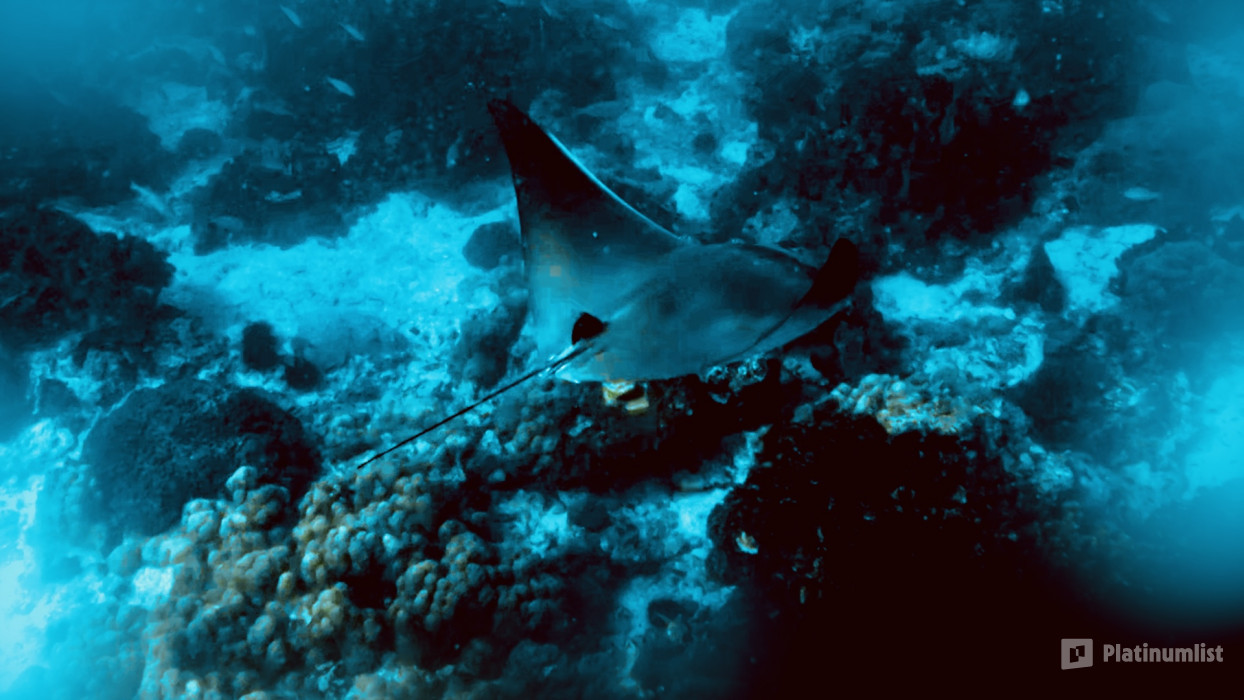 38v8er استديو الصور :مسقط في جولة جماعية خاصة في جزر الديمانيات