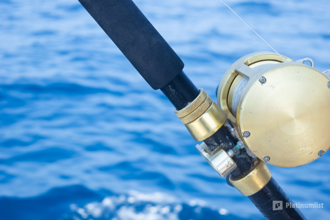 n6bmwx استديو الصور :مسقط في جولة خاصة بالقارب لصيد الأسماك n6bmwx استديو الصور :مسقط في جولة خاصة بالقارب لصيد الأسماك