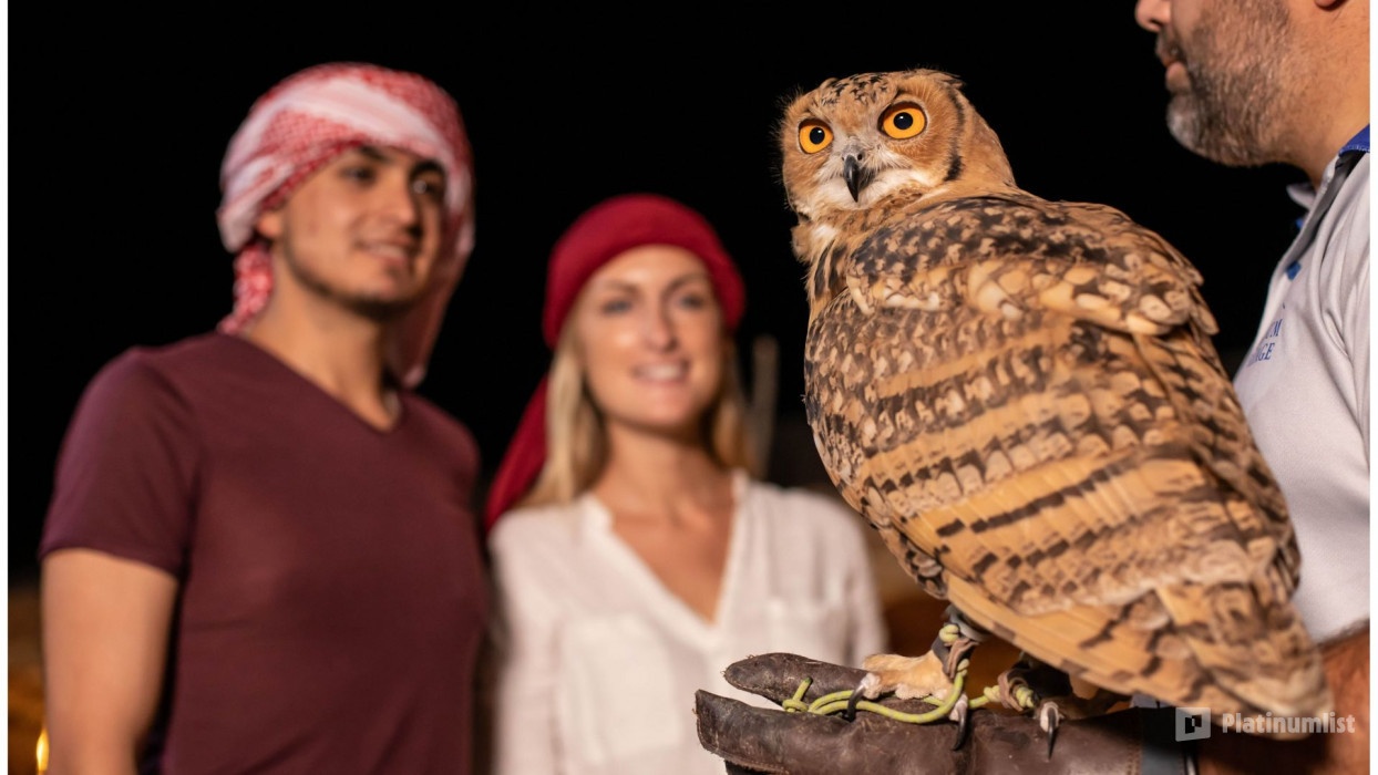 Private Night Safari & Astronomy in Dubai: Gallery Photo 3b8k45 Private Night Safari & Astronomy in Dubai: Gallery Photo 3b8k45