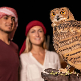 Photo from رحلات السفاري الليلية الخاصة وعلم الفلك in دبي: Gallery Photo 3b8k45