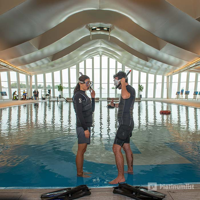 Deep Dive Dubai Surface Snorkeling Experience in Dubai: Gallery Photo n14myb