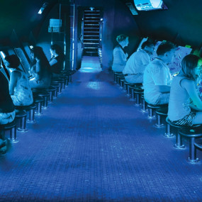 Photo from رحلة غطس في العين السخنة لمدة يوم كامل وغواصة مع خدمة نقل خاصة ذهابًا وإيابًا من القاهرة in القاهرة: Gallery Photo zm4gx6