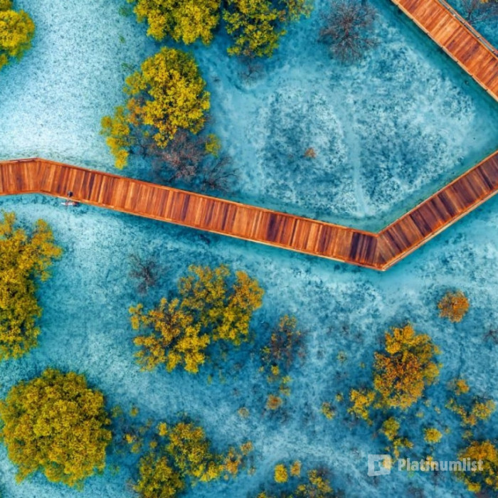 Jubail Mangrove Park - Boardwalk Experience in Abu Dhabi: Gallery Photo zgkdjr