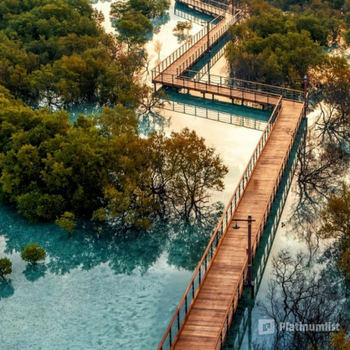 Jubail Mangrove Park - Boardwalk Experience in Abu Dhabi: Gallery Photo zooj16