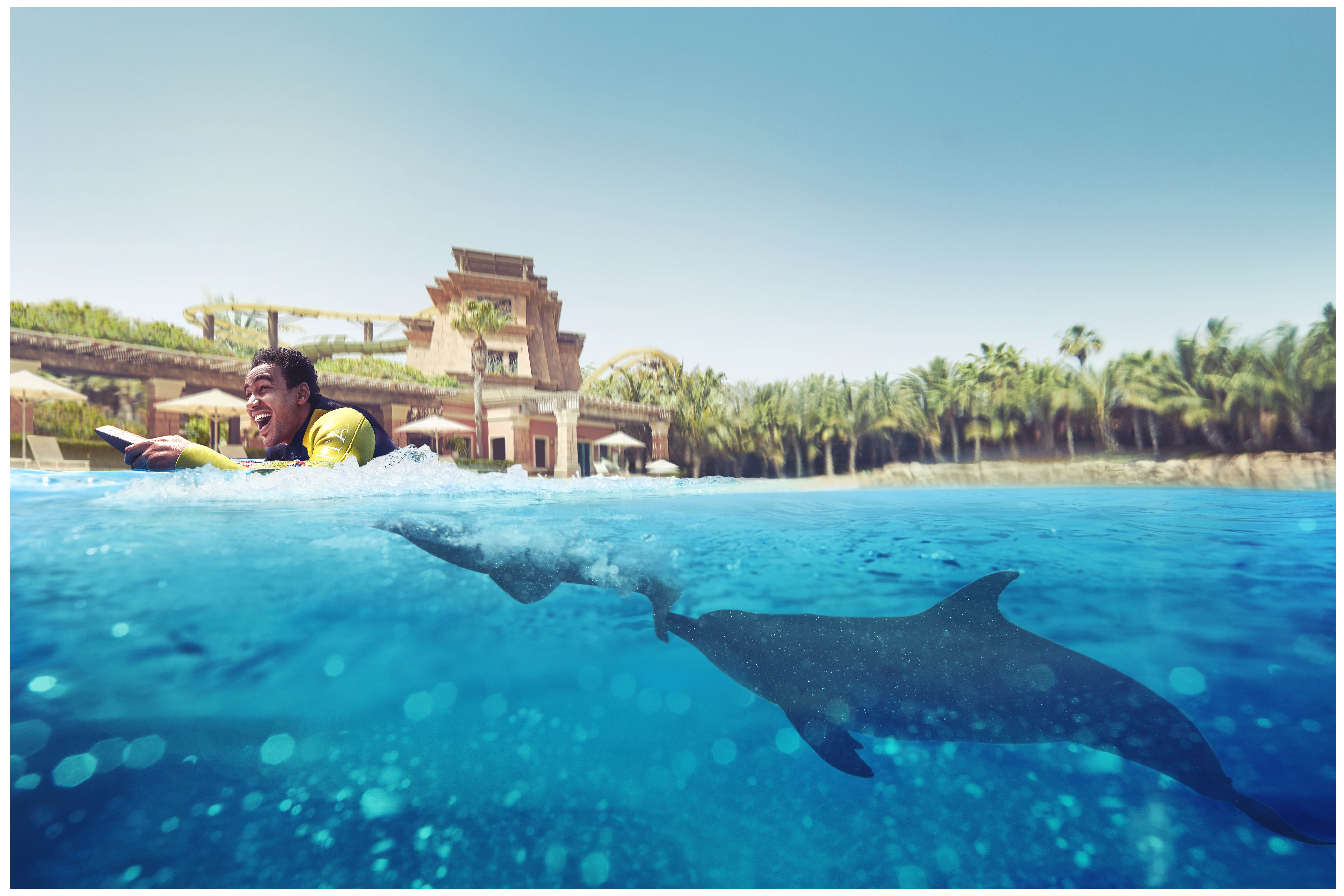 Photo from Dolphin Bay Experiences at Atlantis The Palm in Dubai: Gallery Photo zgkdbr
