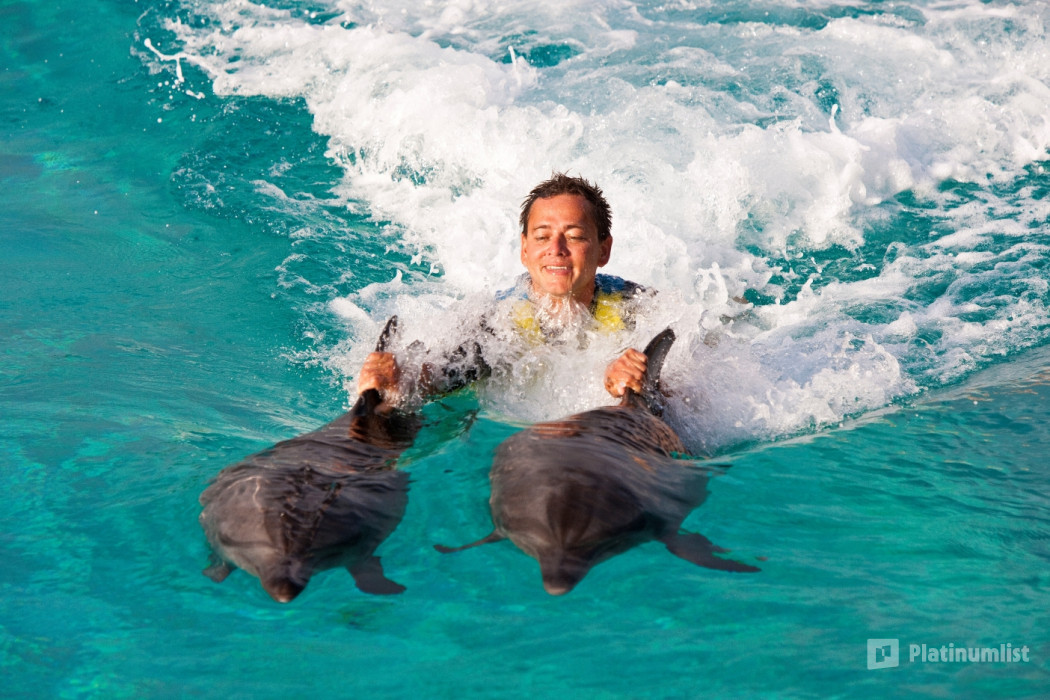 Dolphin Bay Experiences at Atlantis The Palm in Dubai: Gallery Photo zoojx6