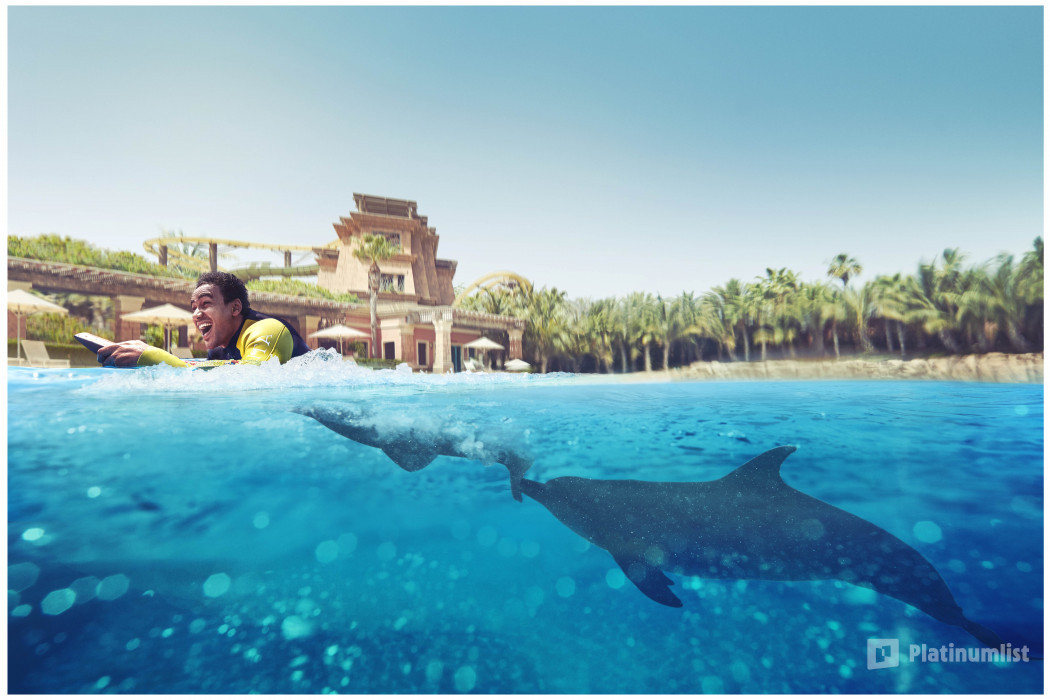 Dolphin Bay Experiences at Atlantis The Palm in Dubai: Gallery Photo 3jk48v
