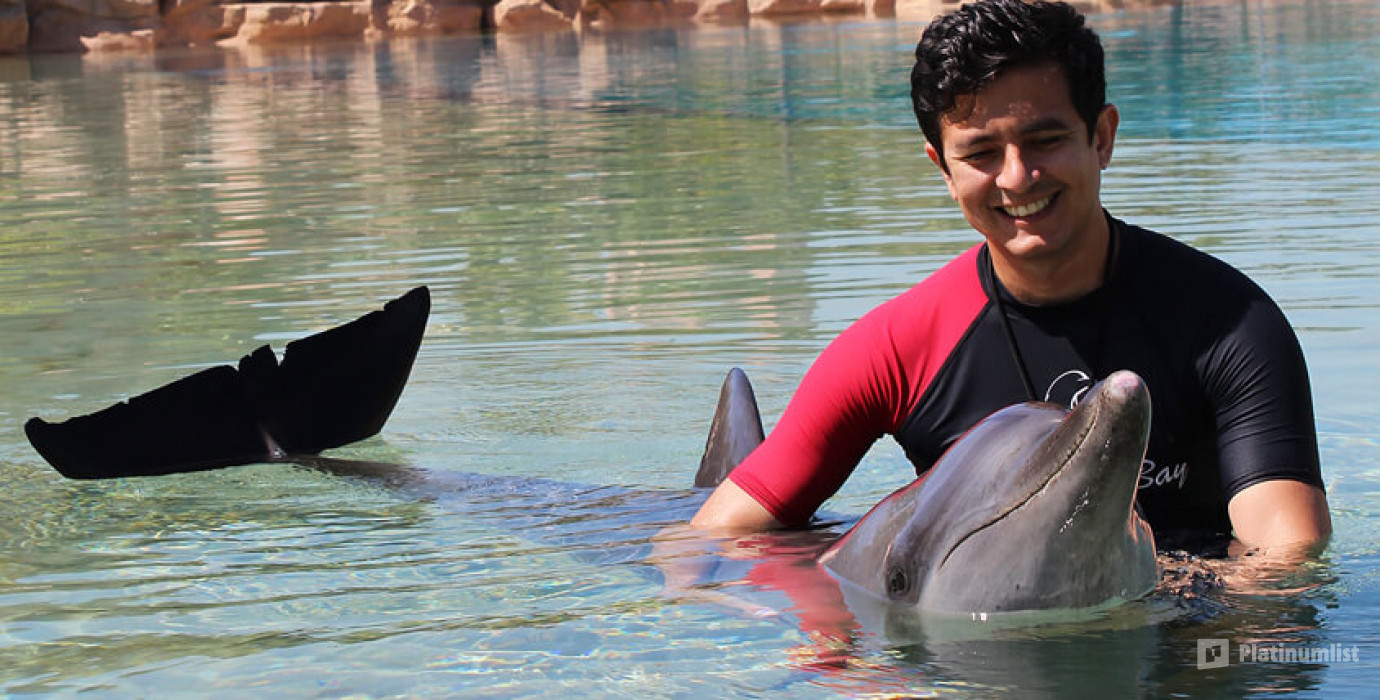 Dolphin Bay Experiences at Atlantis The Palm in Dubai: Gallery Photo 3qbqy1