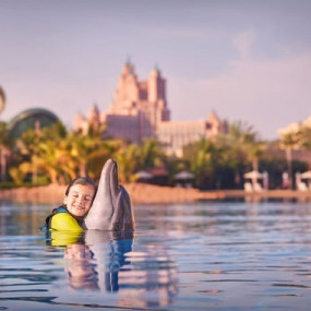 Photo from Dolphin Bay Experiences at Atlantis The Palm in Dubai: Gallery Photo 3y57e0