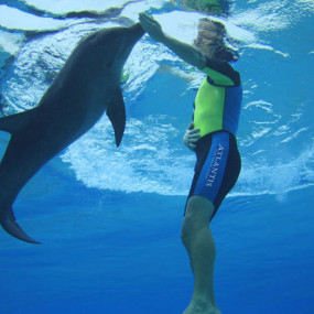 Photo from Dolphin Bay Experiences at Atlantis The Palm in Dubai: Gallery Photo nk58px