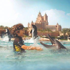 Photo from Dolphin Bay Experiences at Atlantis The Palm in Dubai: Gallery Photo 35dm61