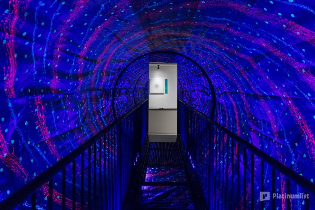 The Museum of Illusions, Dubai in Dubai: Gallery Photo 3r5ykk