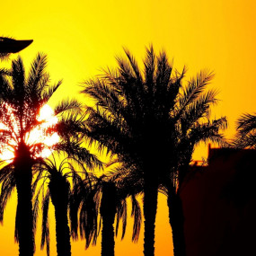 Photo from Yas Marina Circuit Venue Guided Tour in Abu Dhabi: Gallery Photo 3e52b9