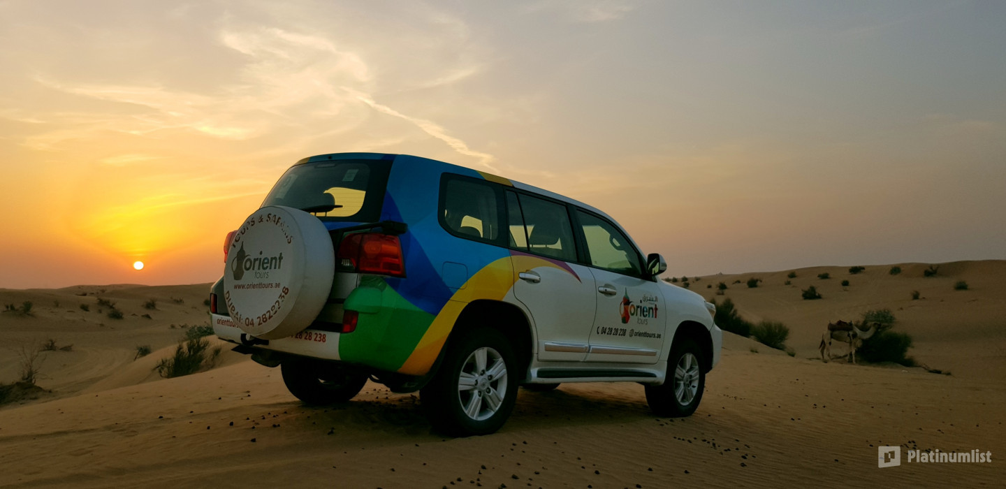 Sunrise and Wildlife Experience in the Desert in Dubai: Gallery Photo 3y5y5b