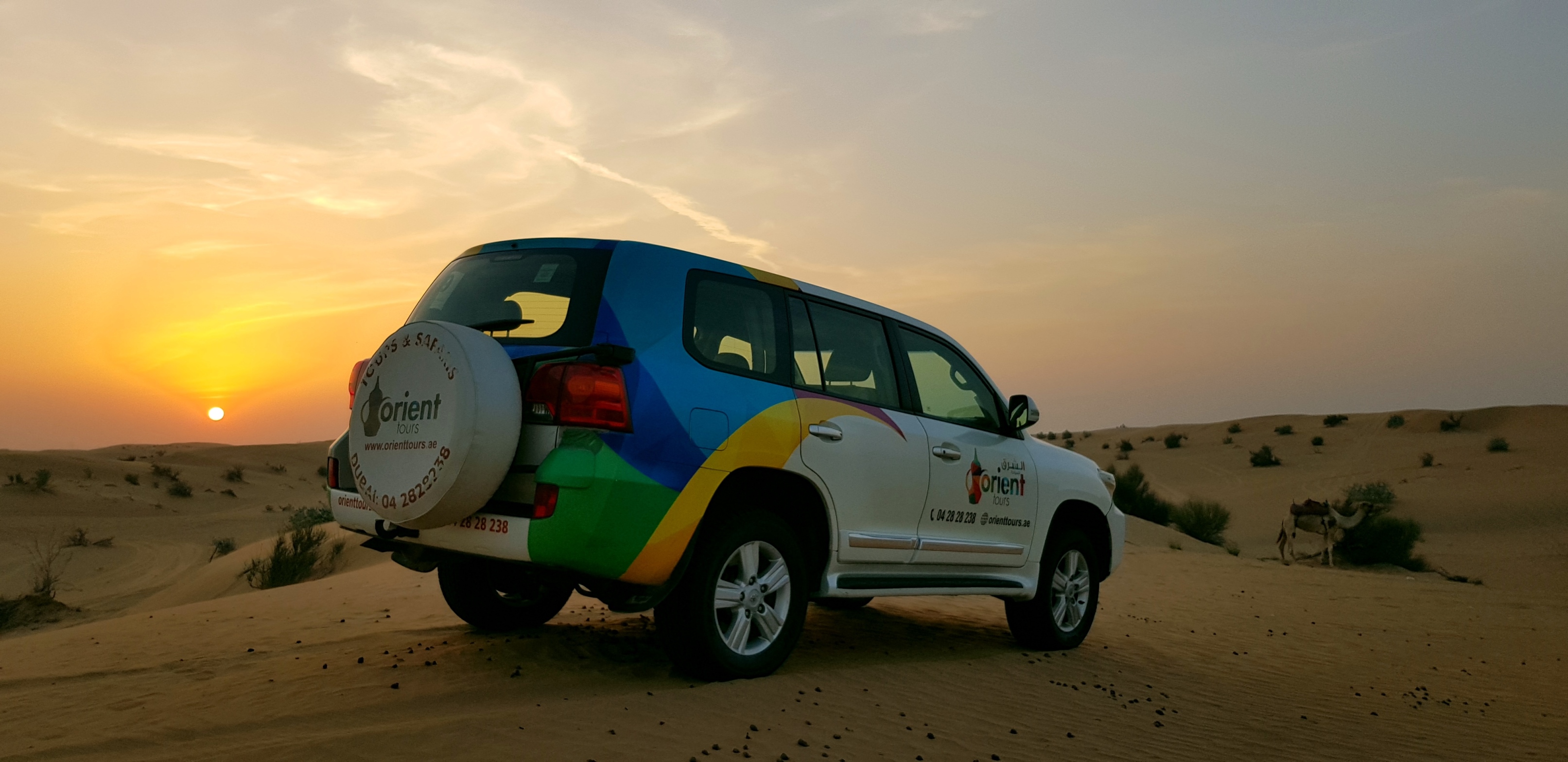 Photo from Sunrise and Wildlife Experience in the Desert in Dubai: Gallery Photo 3y5y5b