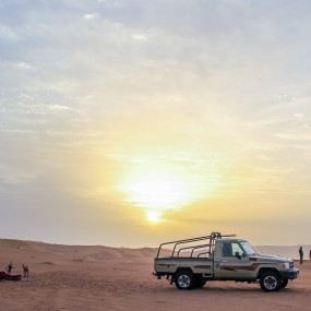 Sunrise and Wildlife Experience in the Desert in Dubai: Gallery Photo n28v80