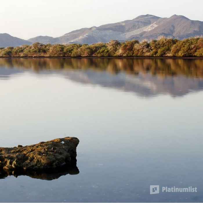 Arabian Adventures - Wadi Adventure в Дубай: Галерея фото n28vek