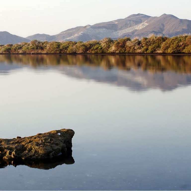 Photo from رحلة المغامرات العربية في وادي المغامرات in دبي: Gallery Photo n28vek