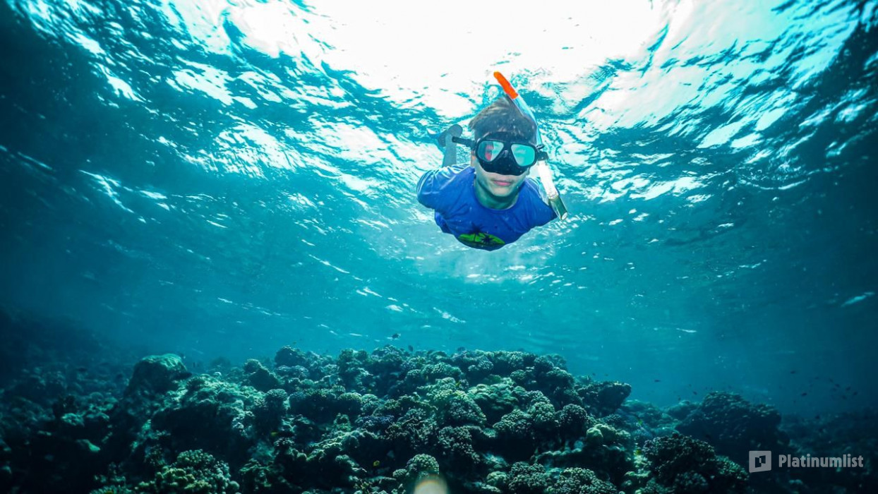 Snorkeling Daily Trips in Jeddah in Jeddah: Gallery Photo 3e5xdq