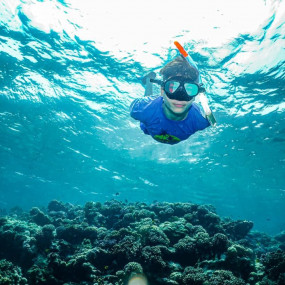 Snorkeling Daily Trips in Jeddah in Jeddah: Gallery Photo 3e5xdq