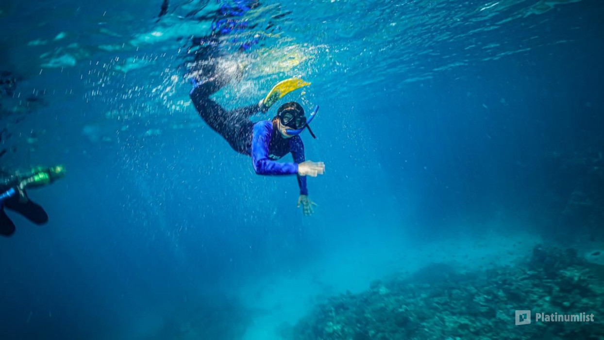 Snorkeling Daily Trips in Jeddah in Jeddah: Gallery Photo 34k69y