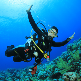 Bayada Daily Trips (Maldives of Jeddah) in Jeddah: Gallery Photo n08q9w