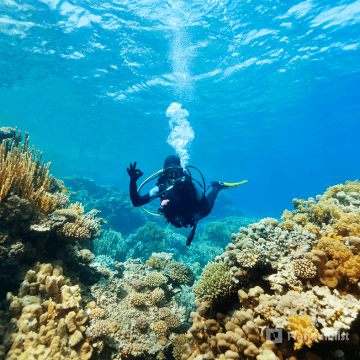 Bayada Daily Trips (Maldives of Jeddah) in Jeddah: Gallery Photo zv5jrb Bayada Daily Trips (Maldives of Jeddah) in Jeddah: Gallery Photo zv5jrb