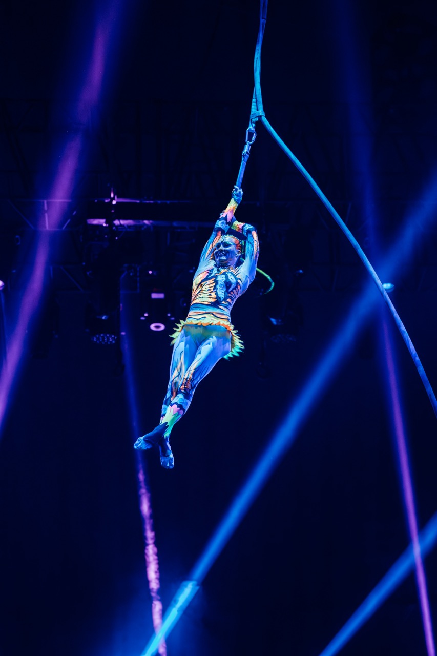 Photo from عرض سيرك "بلوما" في دبي in دبي: Gallery Photo zoov5e