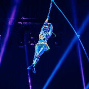 Pluma Show/Circus in Dubai in Dubai: Gallery Photo zoov5e