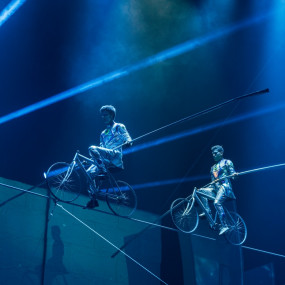 Pluma Show/Circus in Dubai in Dubai: Gallery Photo 3qbr9e