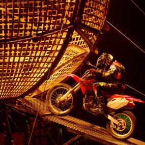 Photo from عرض سيرك "بلوما" في دبي in دبي: Gallery Photo 34k62b