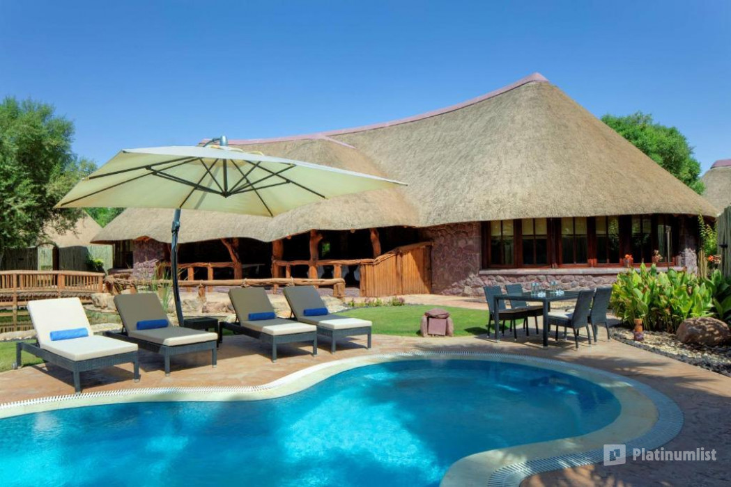 The Local Production Championship in Riyadh in Riyadh: Gallery Photo 3x8pwd