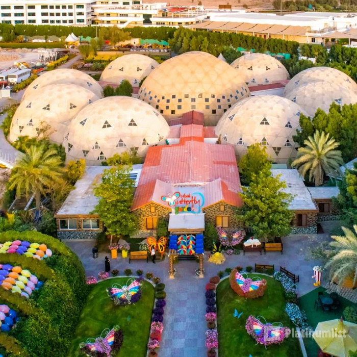 Miracle Garden + Butterfly Garden - Combo в Дубай: Галерея фото zv5w0b