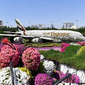 Miracle Garden + Butterfly Garden - Combo in Dubai: Gallery Photo 3pedbx