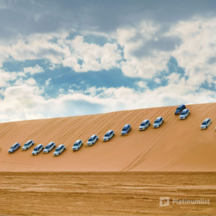 Desert Safari & Keshta в Доха: Галерея фото zgkjm1