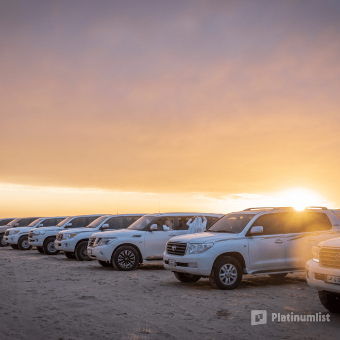 Quickie to the Desert in Doha: Gallery Photo zoo12e Quickie to the Desert in Doha: Gallery Photo zoo12e