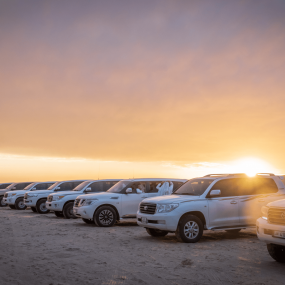 Quickie to the Desert in Doha: Gallery Photo zoo12e