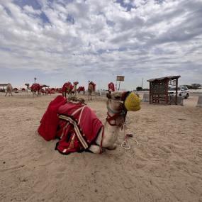 Quickie to the Desert in Doha: Gallery Photo 3jky4w