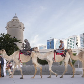 Al Hosn Festival 2025 in Abu Dhabi: Gallery Photo 3peqy0