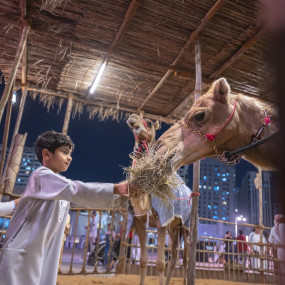 Photo from Al Hosn Festival 2025 in Abu Dhabi: Gallery Photo 3jk8pq