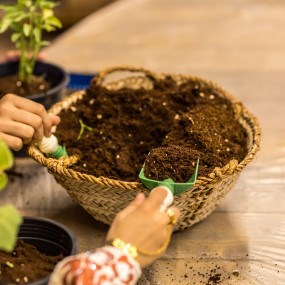 Photo from Al Hosn Festival 2025 in Abu Dhabi: Gallery Photo 3y5evr