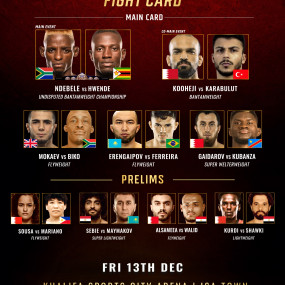 n14vdj استديو الصور :المنامة في الحدث الرياضي برايف سي أف للفنون القتالية المختلطة