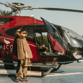 Shared Helicopter Tour in Dubai by Falcon Aviation in Dubai: Gallery Photo 3peqre