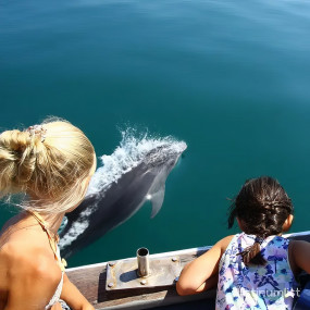 Photo from Dolphin Island Boat Trip in Antalya: Gallery Photo 3dke4y