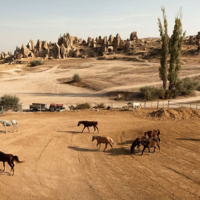 Photo from Cappadocia Horse Riding in Cappadocia: Gallery Photo 35dq4m